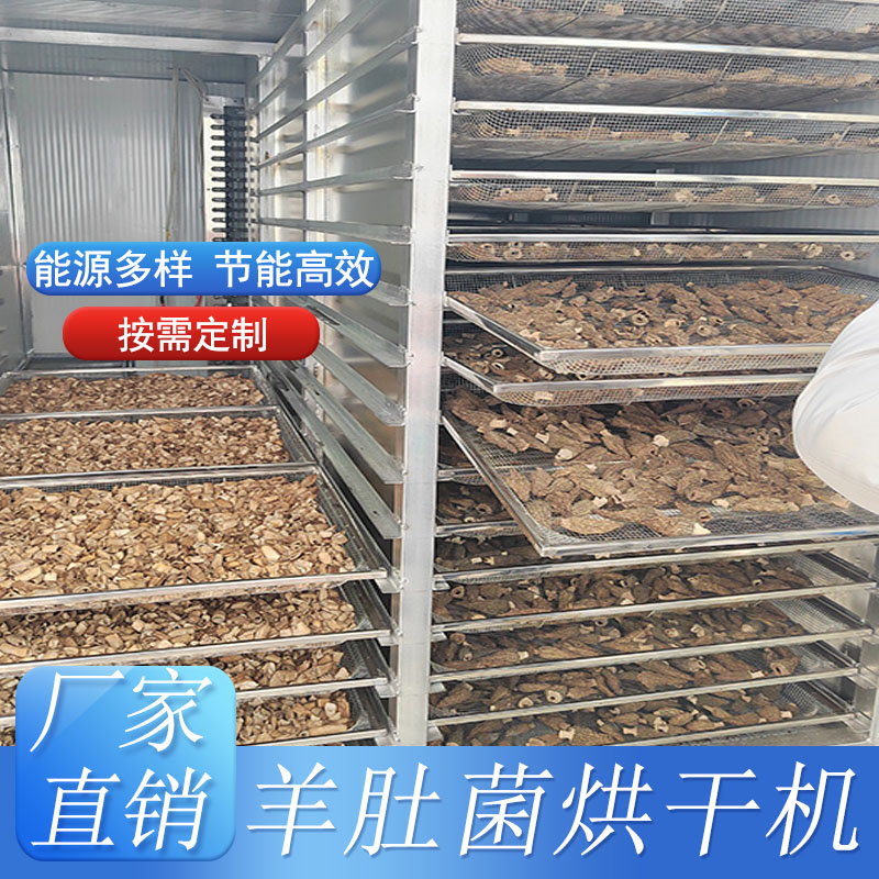 羊肚菌專用烘干房